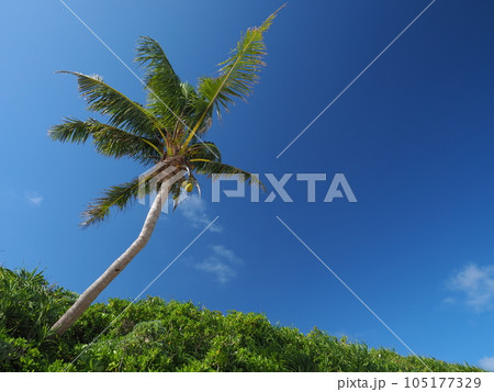 真夏の空 in 宮古島 真夏の空 in 宮古島 105177329