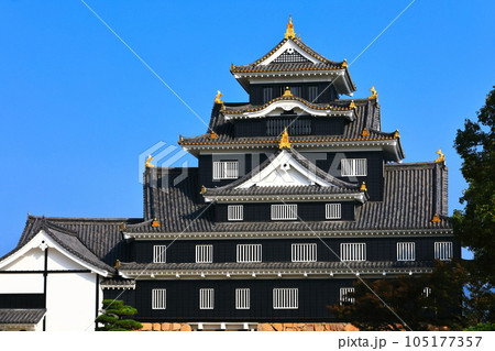 【岡山県】快晴の岡山城（令和の大改修後） 105177357