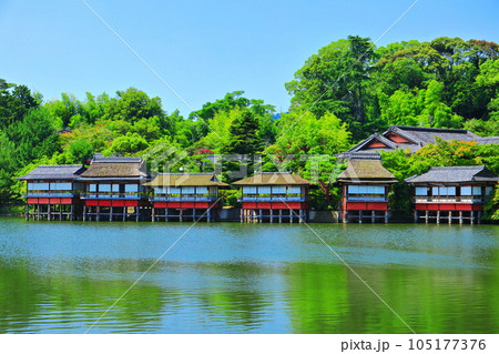 【京都府】晴天の長岡天満宮の錦水亭 105177376