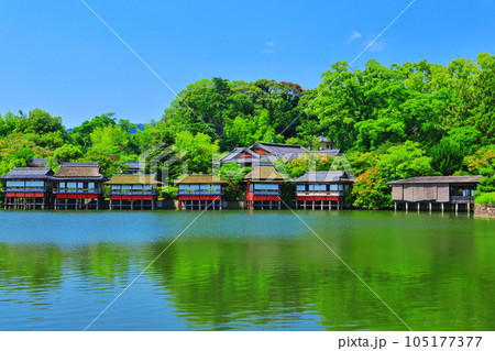 【京都府】晴天の長岡天満宮の錦水亭 105177377