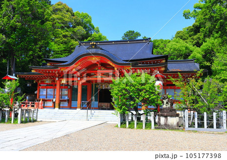 【京都府】晴天の長岡天満宮の社殿 【京都府】晴天の長岡天満宮の社殿 105177398