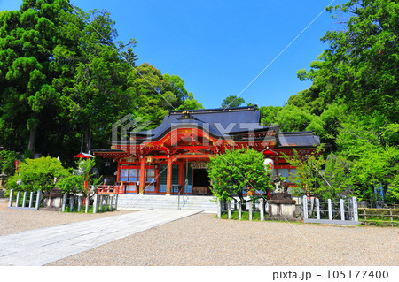 【京都府】晴天の長岡天満宮の社殿 105177400