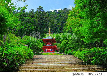 【大阪府】晴天の勝尾寺の多宝塔 105177418