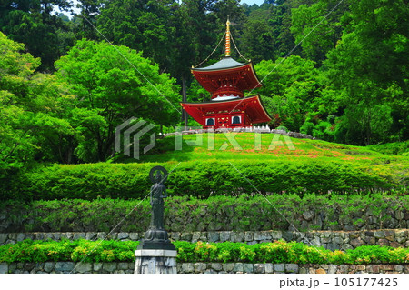 【大阪府】晴天の勝尾寺の多宝塔 【大阪府】晴天の勝尾寺の多宝塔 105177425