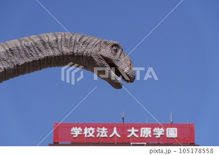 福井駅前の恐竜モニュメント　フクイティタン 105178558