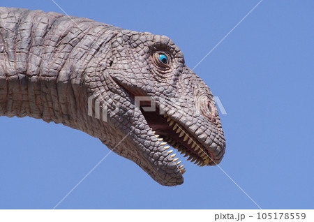 福井駅前の恐竜モニュメント　フクイティタン 105178559