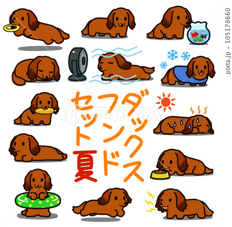 ダックスフンドのデフォルメイラストセット【レッド：夏】 105178660