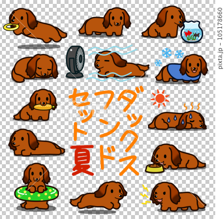 Dachshund deformed illustration set [Red: Summer] 105178660