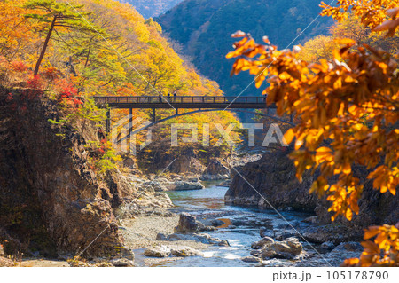 栃木日光市　日光国立公園　紅葉の龍王峡 105178790
