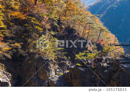 栃木日光市 日光国立公園 紅葉の龍王峡 栃木日光市 日光国立公園 紅葉の龍王峡 105178815