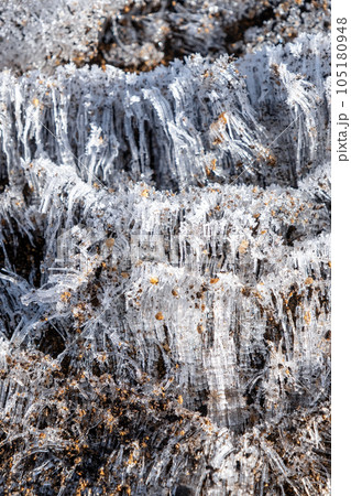 霜柱 霜柱 105180948