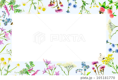 Frame from realistic meadow wildflowers - field bell, clover, yarrow, camomile, forget-me-not, chicory hand-drawn. Watercolor floral illustration on light-blue background with white center for photos 105181770