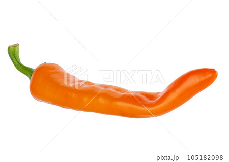Ripe orange pepper Isolated on white background. File contains clipping path. Full depth of field. 105182098