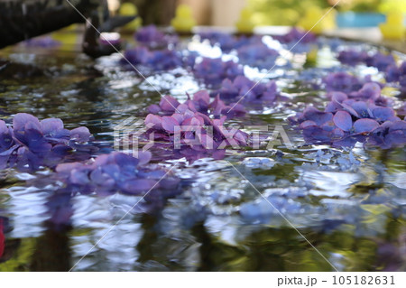 風鈴 風鈴祭 風鈴参道 比叡山坂本駅 JR琵琶湖線 JR京都線 天台宗総本山 夏祭り 夏休み 熱中症 風鈴 風鈴祭 風鈴参道 比叡山坂本駅 JR琵琶湖線 JR京都線 天台宗総本山 夏祭り 夏休み 熱中症 105182631