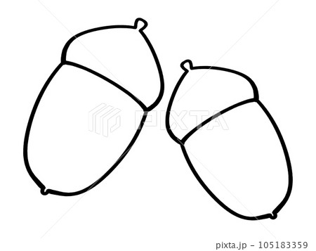 シンプルでかわいいどんぐり二つのイラスト素材　線画 105183359