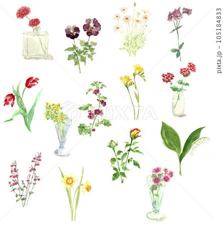 四季の花々の水彩イラストセット 白バック 105184833