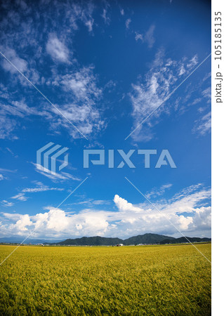 のどかな風景 のどかな風景 105185135