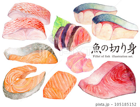 水彩イラストセット　魚の切り身 105185152