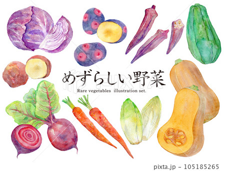 水彩イラストセット　めずらしい野菜 105185265