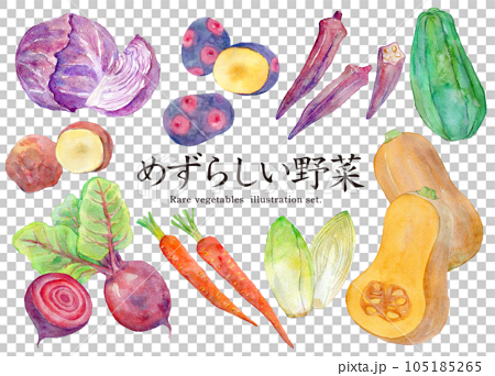 水彩イラストセット　めずらしい野菜 105185265