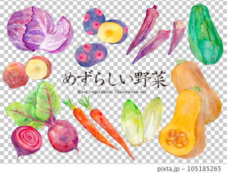 水彩插圖集稀有蔬菜 水彩插圖集稀有蔬菜 105185265
