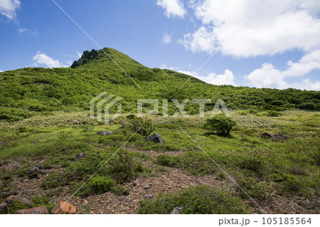 磐梯山　山頂下の「お花畑」から山頂を望む 105185564
