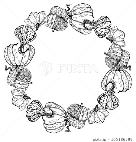 Hand drawn ink vector pumpkin gourd squash. Sketch illustration art for Thanksgiving, Halloween, harvest, farming. Wreath frame, outline. Design for restaurant menu print, cafe, website, invitation Hand drawn ink vector pumpkin gourd squash. Sketch illustration art for Thanksgiving, Halloween, harvest, farming. Wreath frame, outline. Design for restaurant menu print, cafe, website, invitation 105186599