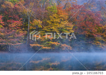 奥入瀬渓流(秋) 奥入瀬渓流(秋) 105186703