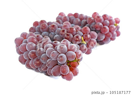 ぶどう(デラウェア) ぶどう(デラウェア) 105187177
