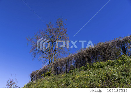 an old metal fence on a hill, an old metal mesh netting an old metal fence on a hill, an old metal mesh netting 105187555