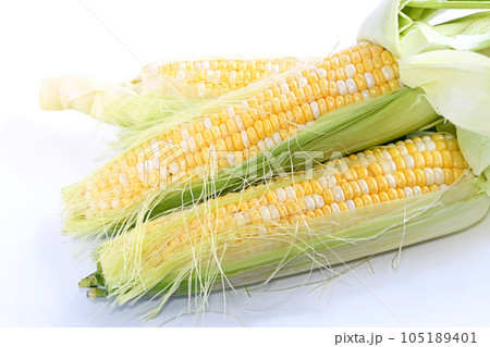 とうもろこし(ドルチェドリーム) とうもろこし(ドルチェドリーム) 105189401