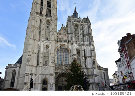 アントワープ聖母大聖堂とクリスマスツリー 105189421