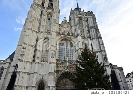 アントワープ聖母大聖堂とクリスマスツリー アントワープ聖母大聖堂とクリスマスツリー 105189422