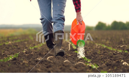 farmer watering sprouts watering can, farmer working field, watering fresh green sprout, agriculture, sowing up crop leaf agribusiness germinated lifestyles person new childhood business shape thirst farmer watering sprouts watering can, farmer working field, watering fresh green sprout, agriculture, sowing up crop leaf agribusiness germinated lifestyles person new childhood business shape thirst 105189471