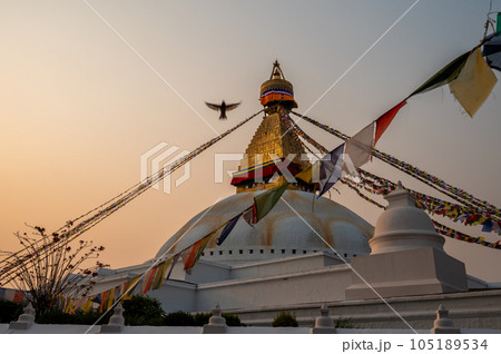 A landscape around Boudhanath, Kathmandu, Nepal 105189534