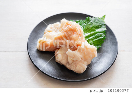 お皿に盛ったシマ腸 105190377