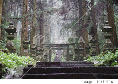 雨の中の神秘的な鳥居　上色見熊野座神社 105191181