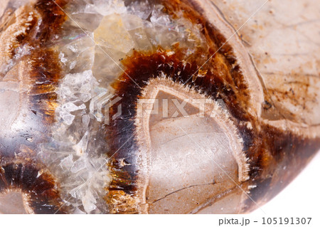Macro mineral stone Simbirzit and Septaria on white background 105191307