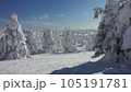雪山の樹氷 105191781