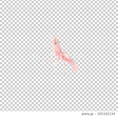左上を向くエビ 105192134