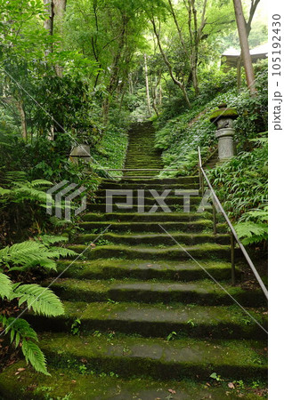妙法寺 苔の石段 妙法寺 苔の石段 105192430