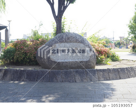 松原市 北新町大池公園 松原市 北新町大池公園 105193057