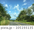 Asphalt road in tropical forest with blue sky and white clouds. 105193135