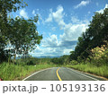 Asphalt road in tropical forest with blue sky and white clouds. 105193136