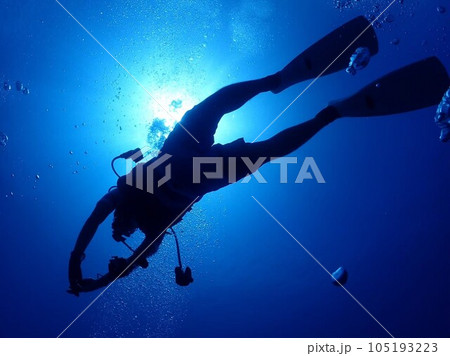 水中を潜るダイバー 105193223