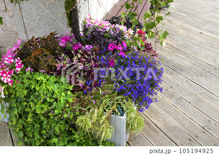 Flowers in a vase near the house Flowers in a vase near the house 105194925