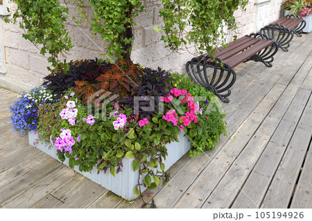 Flowers in a vase near the house Flowers in a vase near the house 105194926
