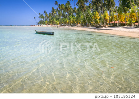 Carneiros Beach and boat in Pernambuco, Northeastern Brazil, South America Carneiros Beach and boat in Pernambuco, Northeastern Brazil, South America 105195324