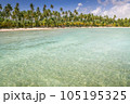 Carneiros Beach and boat in Pernambuco, Northeastern Brazil, South America 105195325