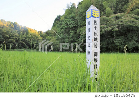 佐土原城 105195478